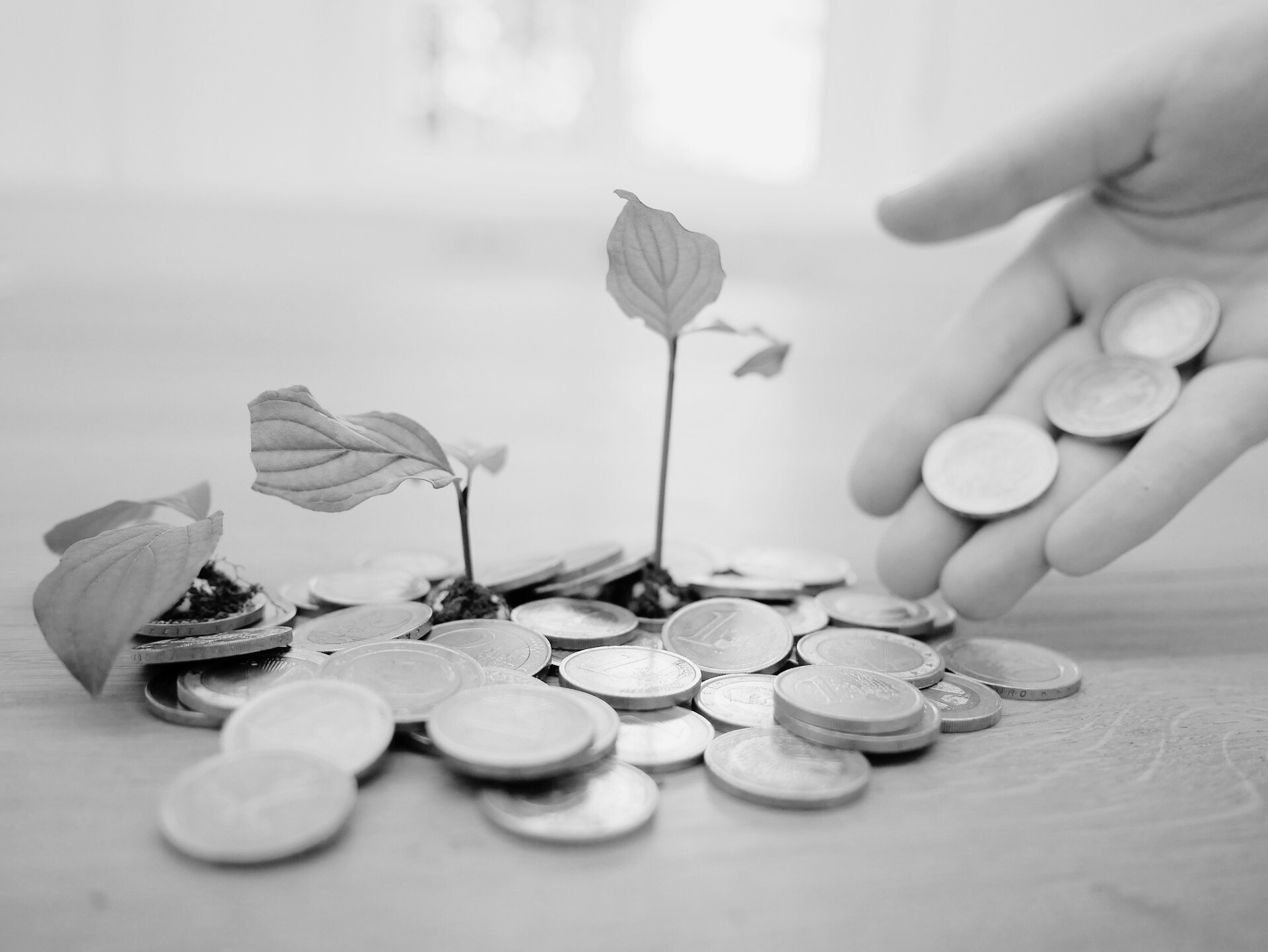 Top Direct Business Lenders for Small Businesses